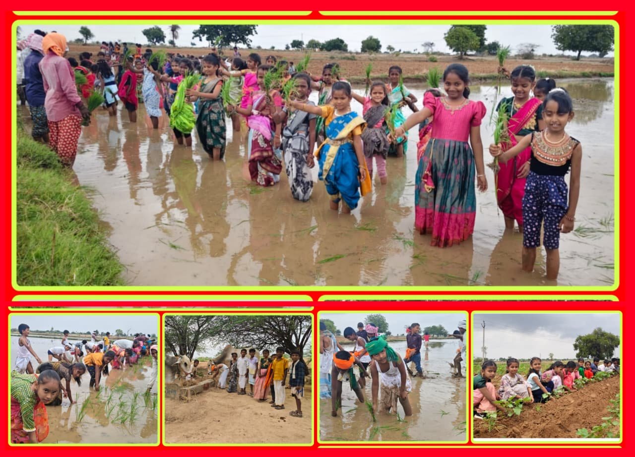 అక్షర ఆణిముత్యాలచే  వ్యవసాయం పైన ప్రత్యక్ష అవగాహన కార్యక్రమం